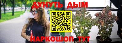 mdpv Можга